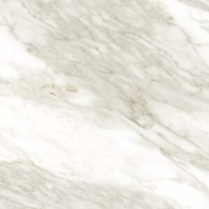 K023 Venato