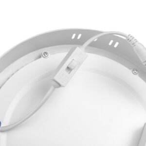 ORIS Downlight